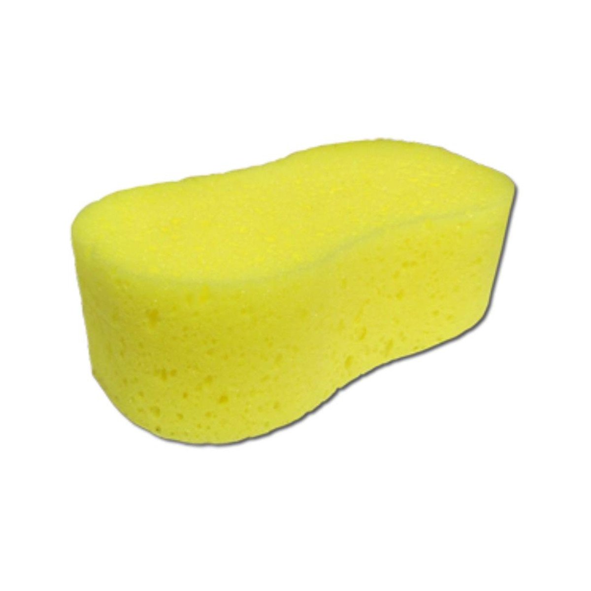 Starbrite Dog Bone Sponge