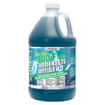 Starbrite -73 Non-Toxic Premium Anti-Freeze - PG (Green) 1 Gallon
